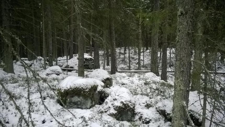 Kuva Tomteskogista, kiviä lumen alla